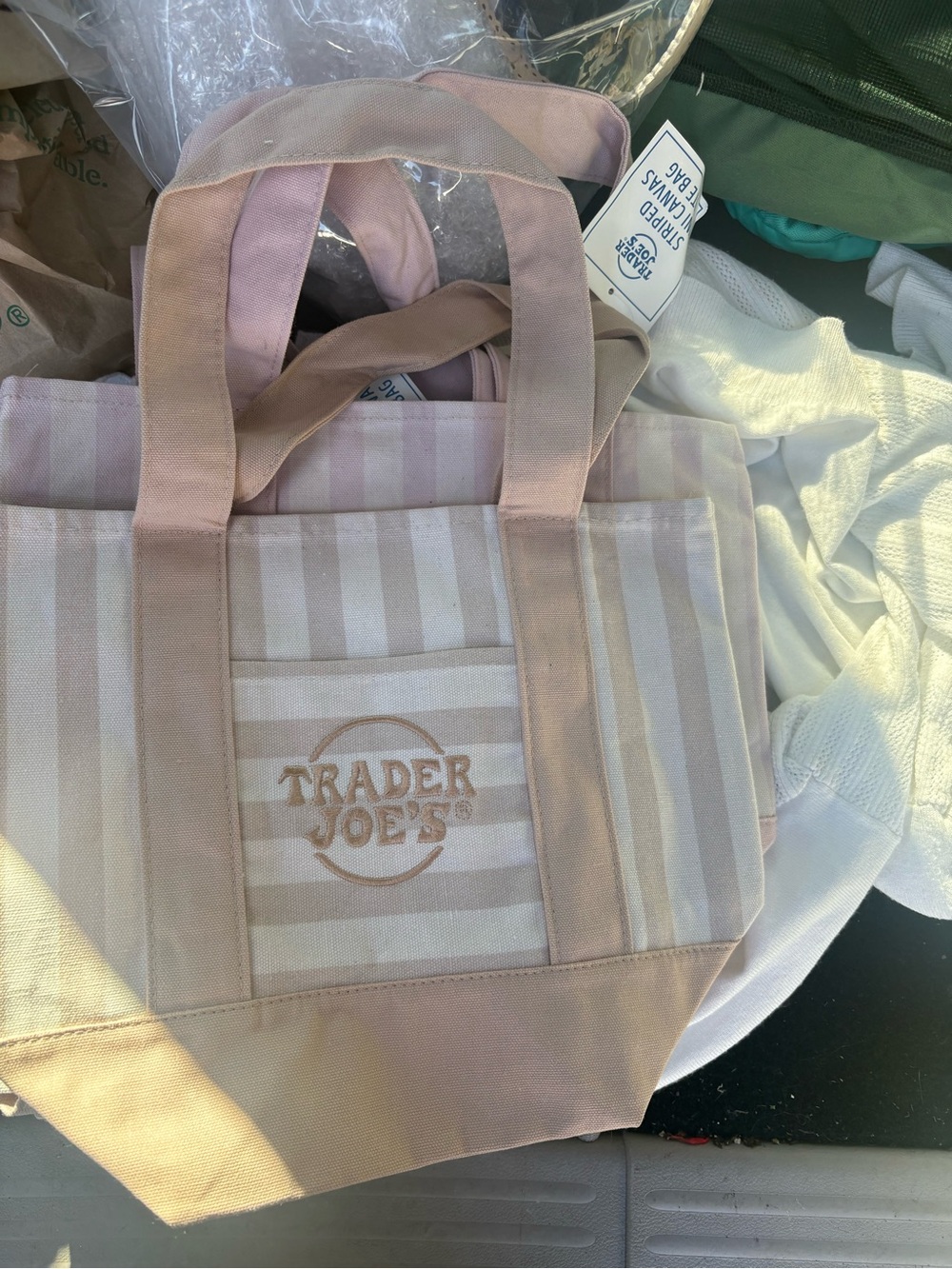 Trader Joe's beige Stripe mini Canvas Tote nwt